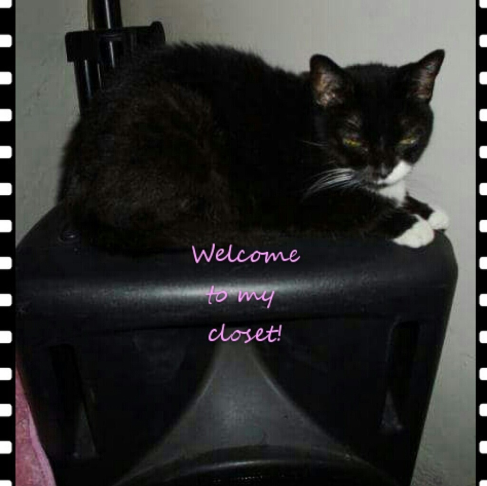 Welcome Poshers! Please read. 😻